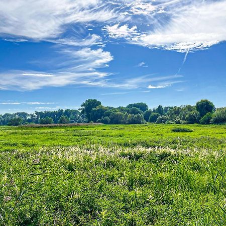 Haffblick Wohnung 60 Boltenhagen  Dış mekan fotoğraf